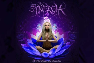 Synergia